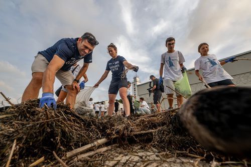 Beach cleaning image