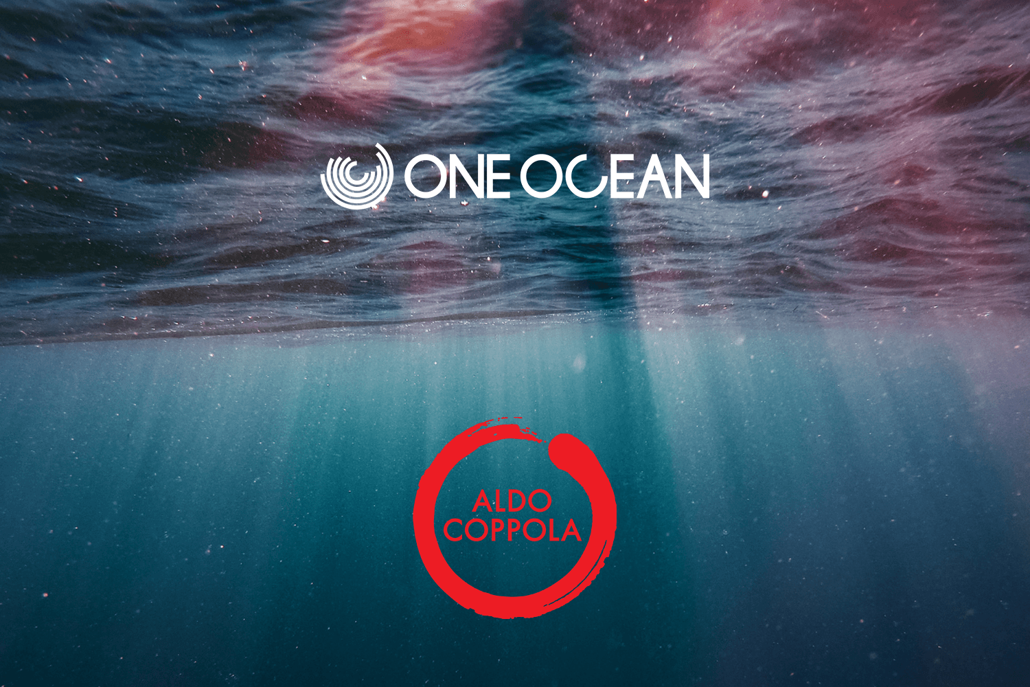 One Ocean Program One Ocean Foundation and Aldo Coppola together for the sea