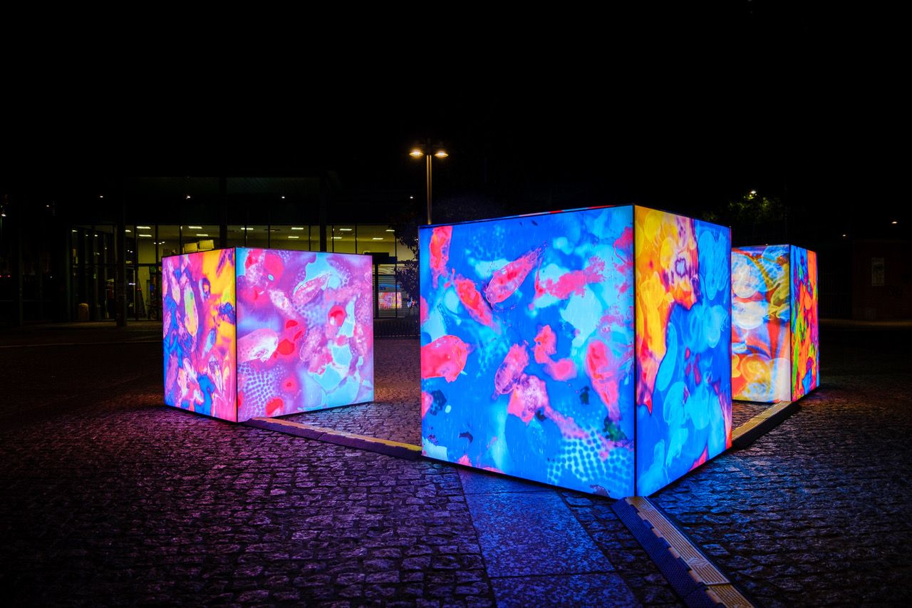 Oceanic Humanity image