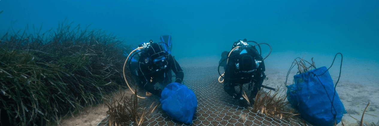 Dobbiamo agire ora, per garantire un ecosistema prospero domani. image