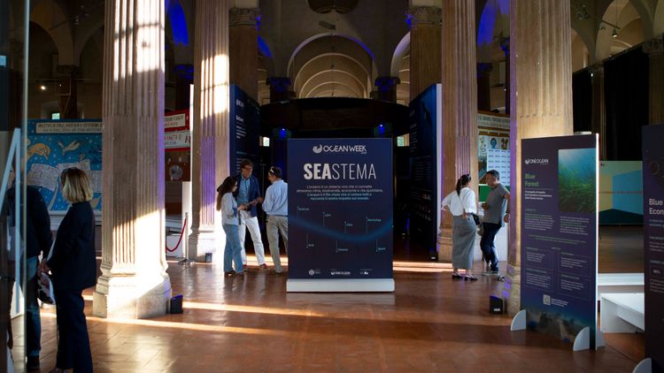 Immagine per articolo One Ocean Week 2026: Connected by the Ocean