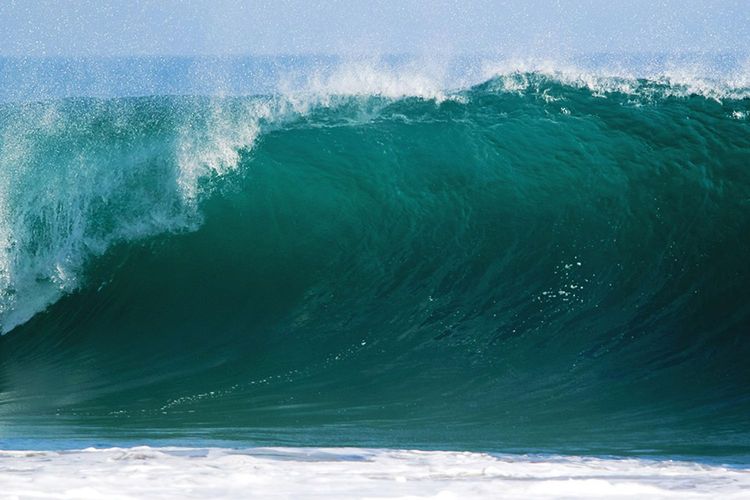 Immagine di copertina