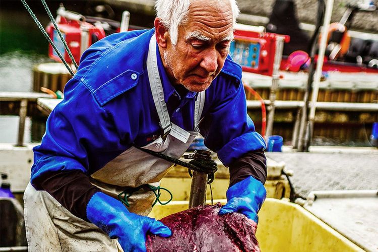 Immagine di copertina