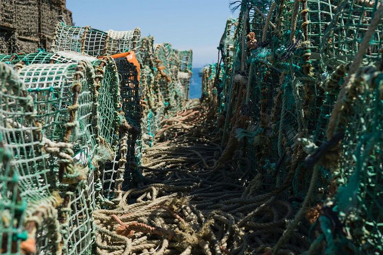 Immagine di copertina