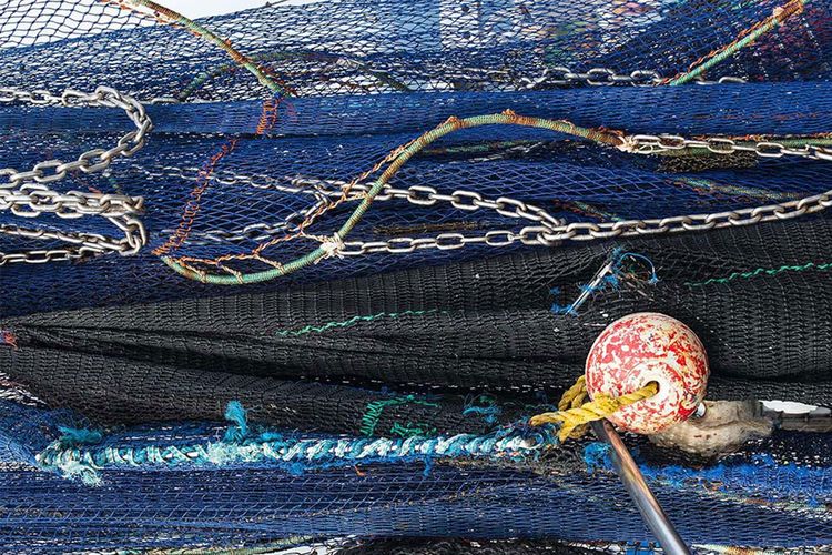 Immagine di copertina