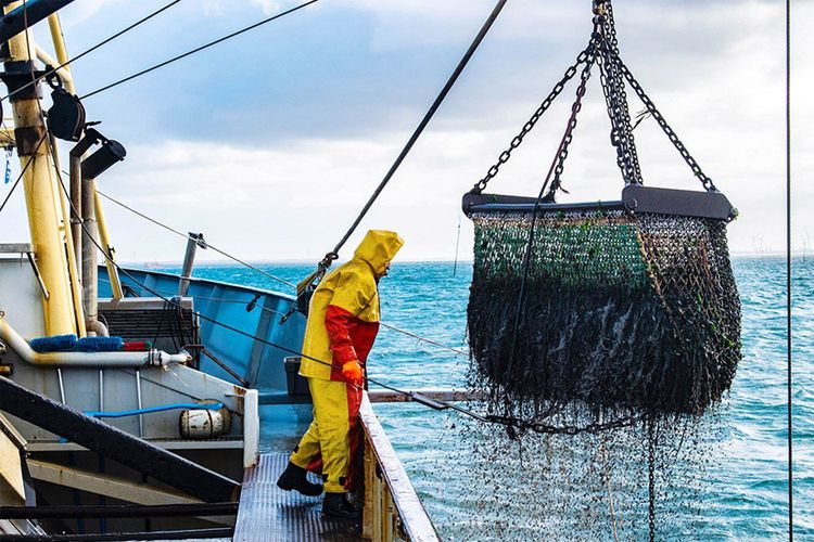 Immagine per articolo Responsible Fishing