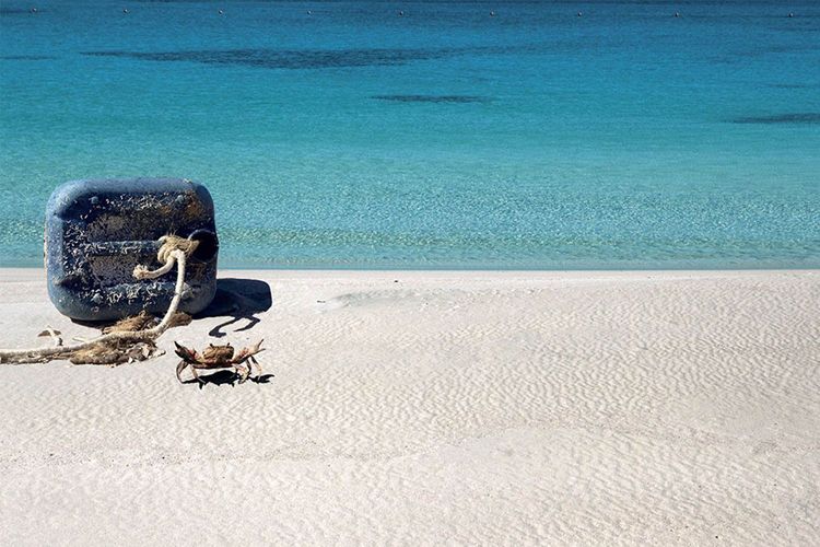 Immagine di copertina