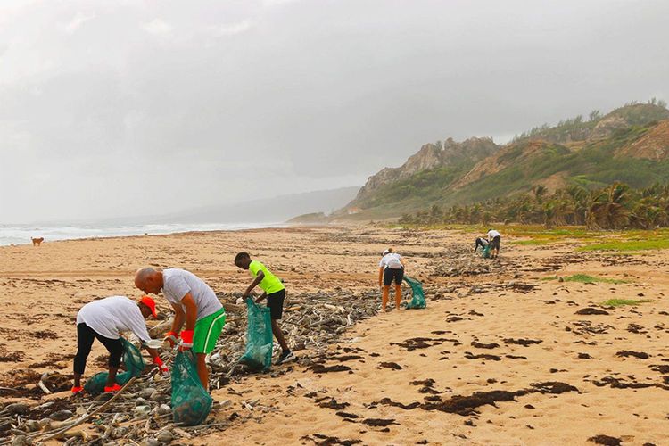 Immagine di copertina