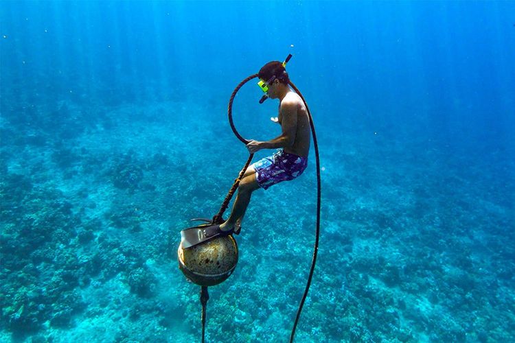 Immagine di copertina