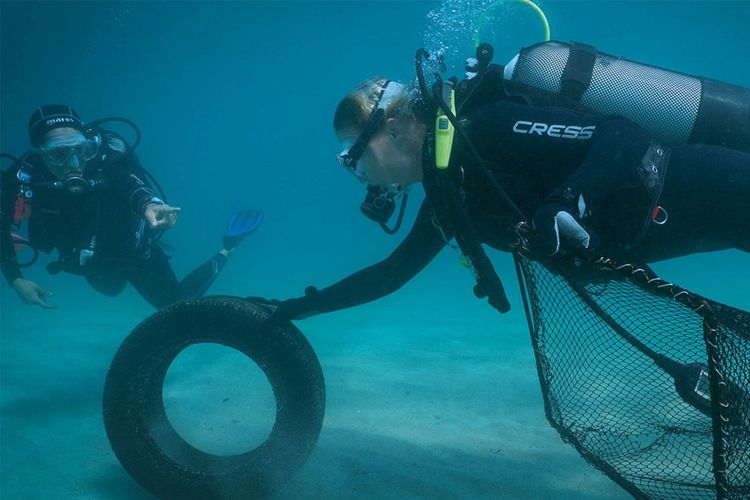 Immagine di copertina