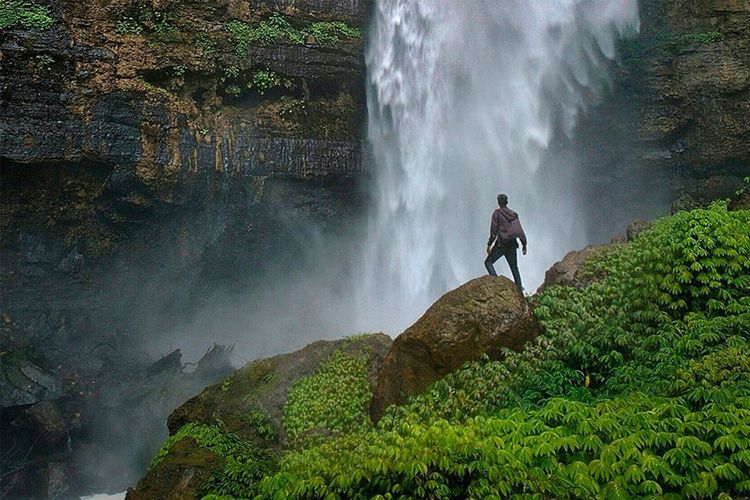 Immagine di copertina