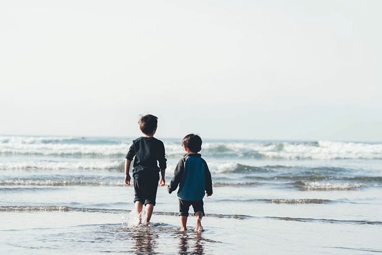 Immagine di copertina