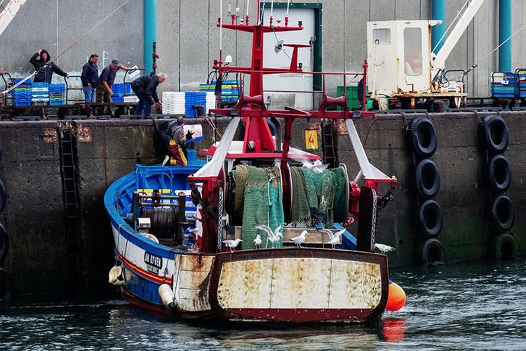 Immagine per articolo Responsible fishing