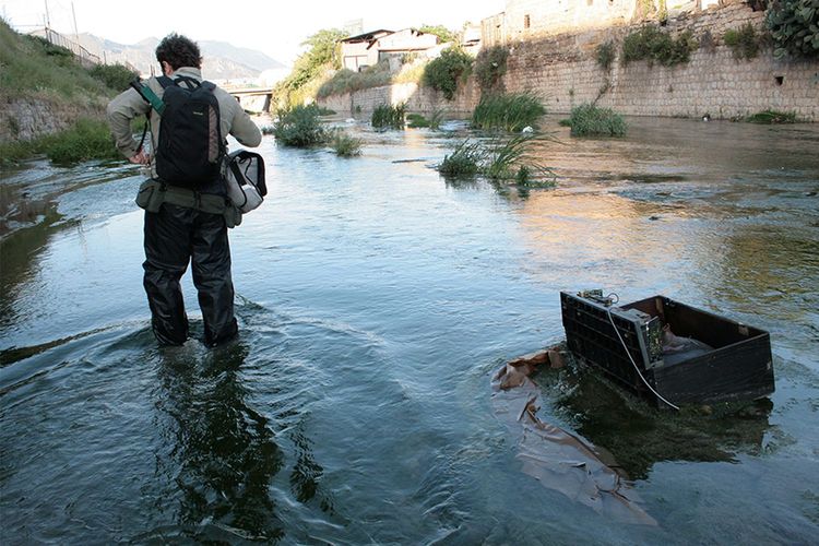 Immagine per articolo Saving the Oreto River