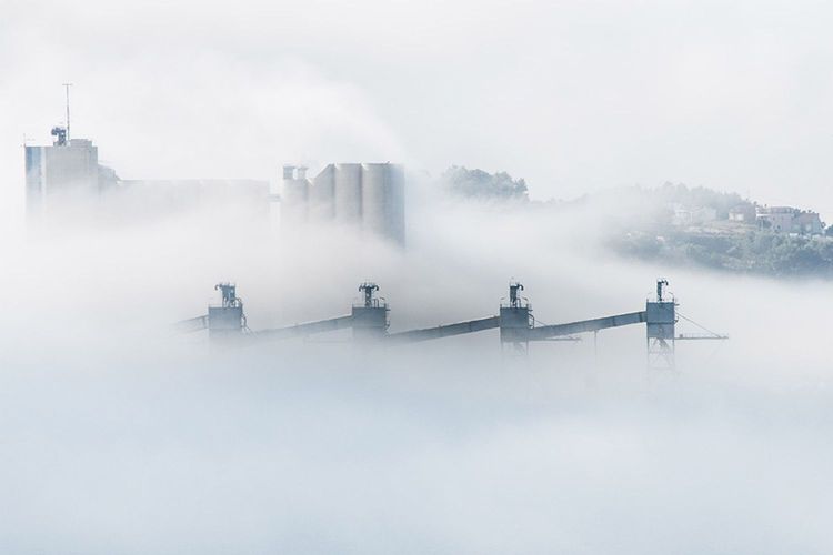 Immagine di copertina