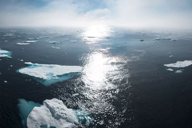 Immagine di copertina