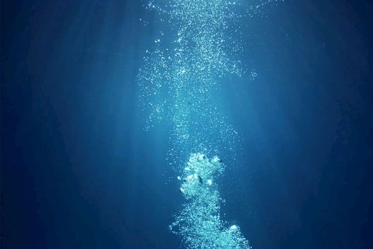 Immagine di copertina