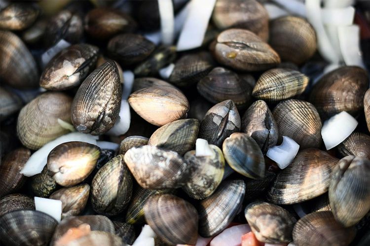 Immagine per articolo Ocean acidification