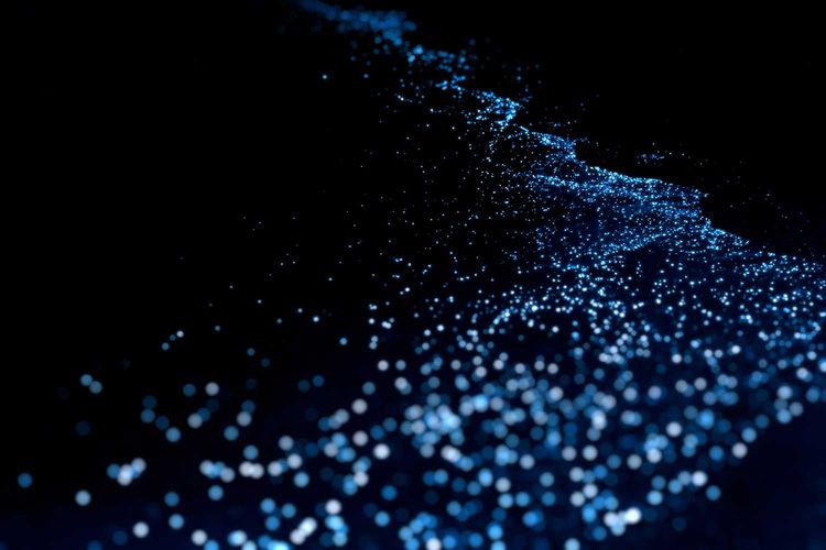 Immagine per articolo Plankton head polewards