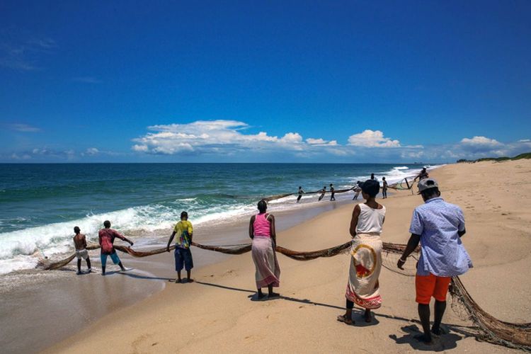 Immagine di copertina