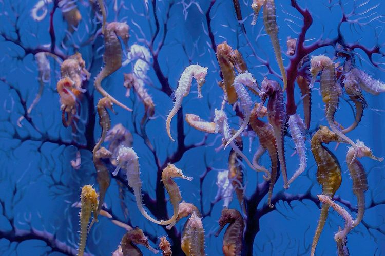 Immagine di copertina