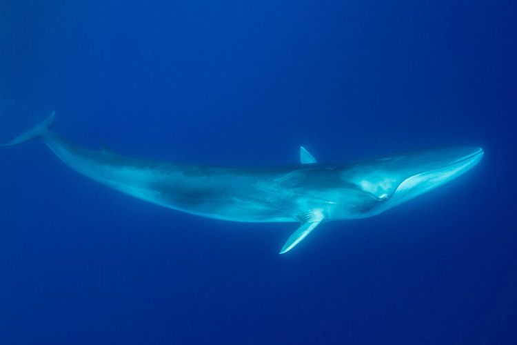 Immagine di copertina