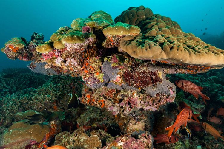 Immagine di copertina