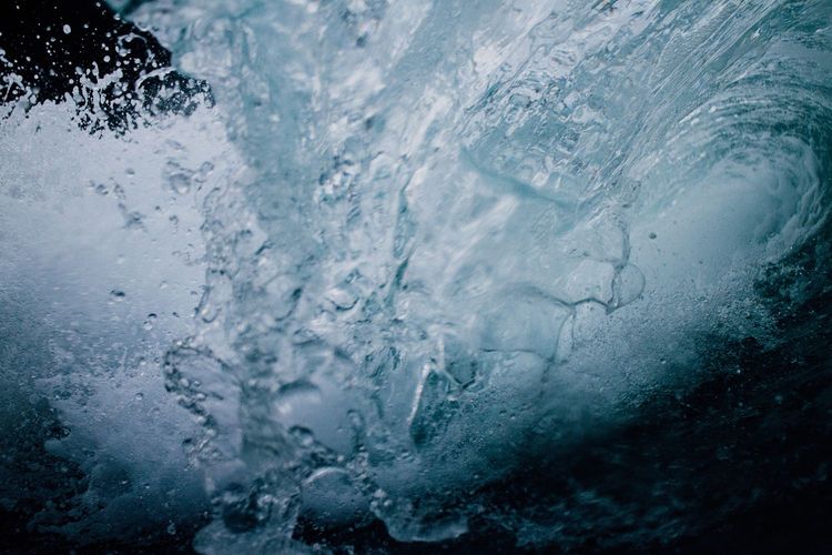 Immagine per articolo Underwater noise from human activities