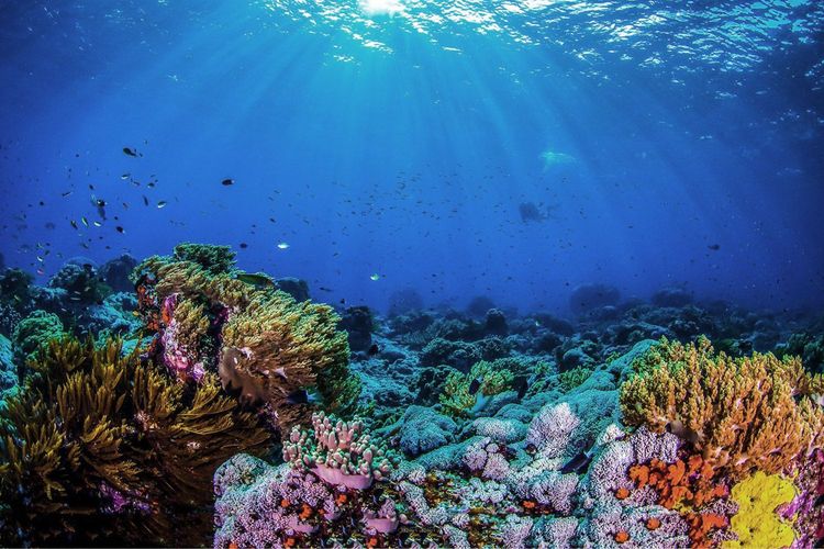 Immagine di copertina