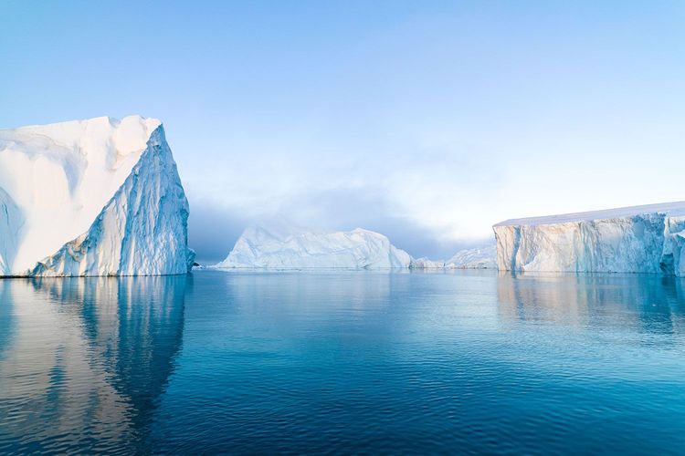 Immagine per articolo The Arctic Ocean: a blue carbon sink