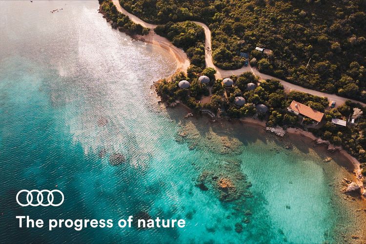 Immagine di copertina