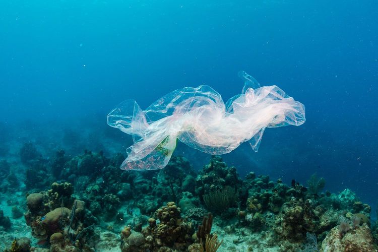 Immagine di copertina