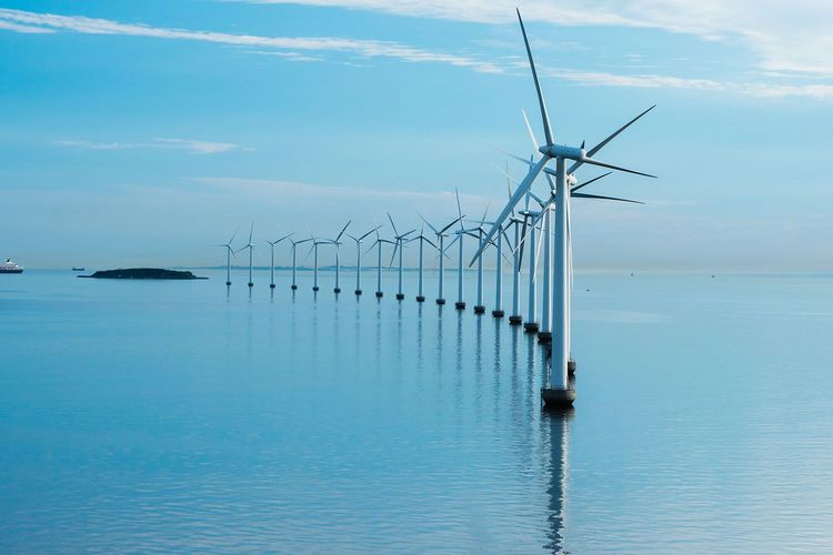 Immagine di copertina