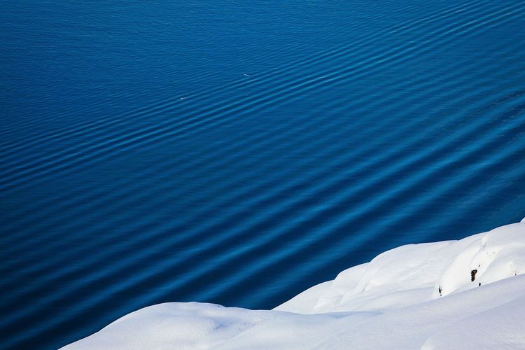 Immagine per articolo Warming Oceans are Changing Ocean Soundscapes