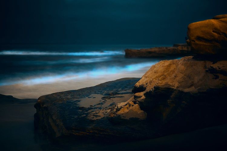 Immagine di copertina