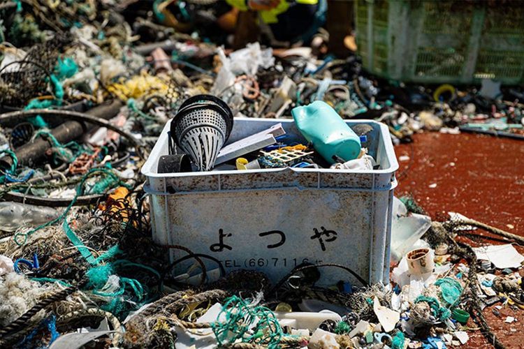 Immagine di copertina