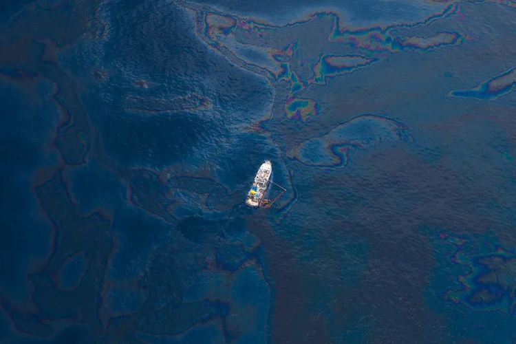 Immagine di copertina