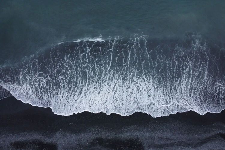 Immagine per articolo Un pozzo di assorbimento di carbonio blu