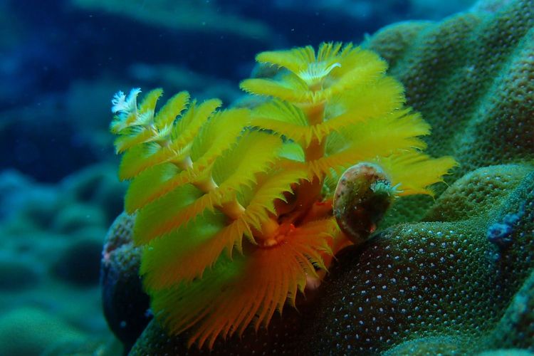 Immagine di copertina