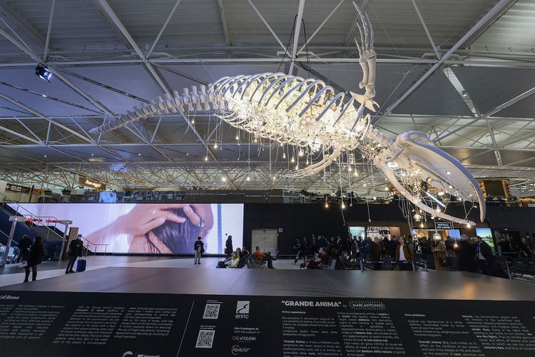 Immagine per articolo One Ocean Foundation supporta l'installazione "Grande Anima" di Marcantonio