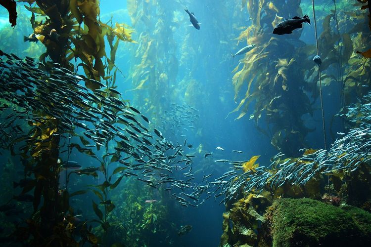 Immagine di copertina