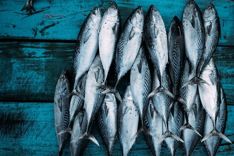 Immagine di copertina