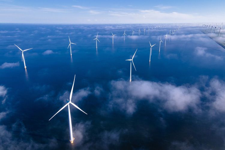 Immagine di copertina