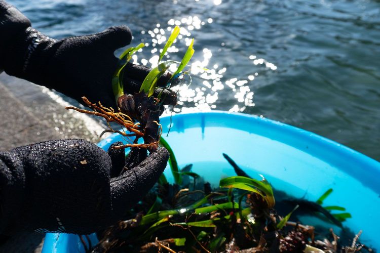 Immagine di copertina