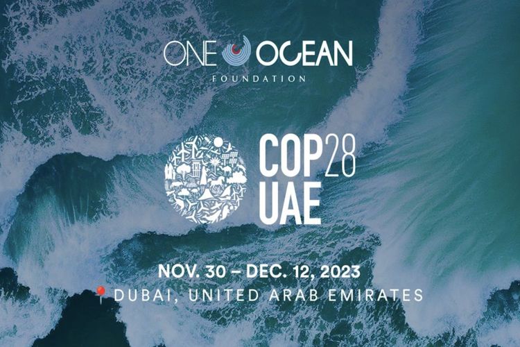 Immagine per articolo COP28: the “beginning of the end” of the fossil fuel era