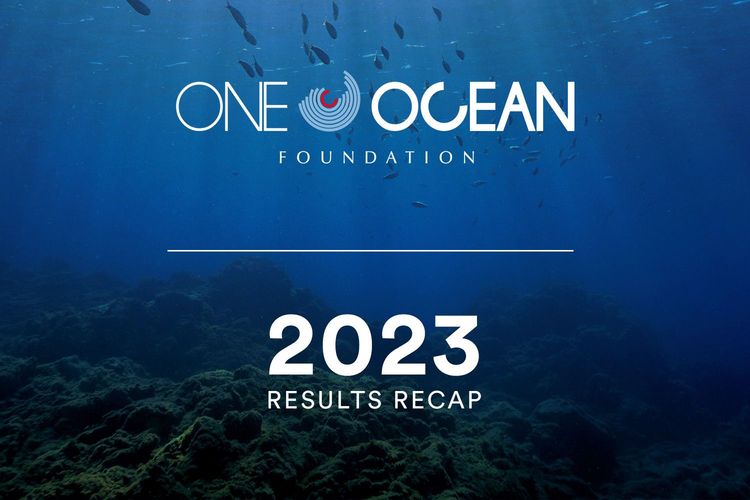 Immagine per articolo One Ocean Foundation's Impactful 2023