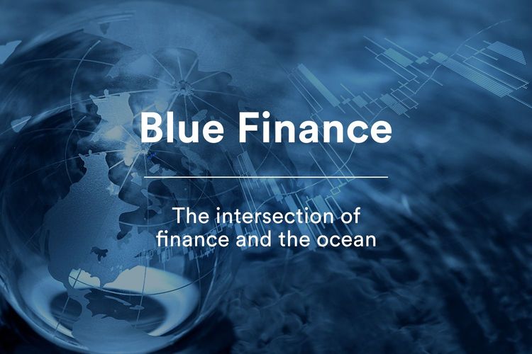 Immagine per articolo Blue Finance: financing the health of the ocean
