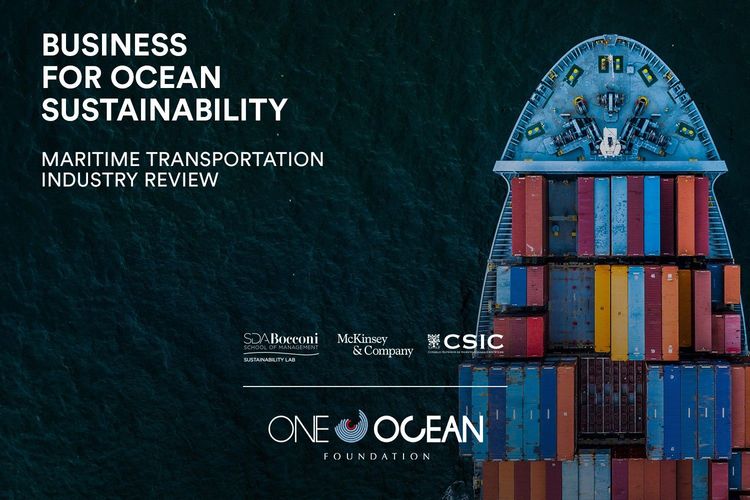 Immagine per articolo The impact of maritime transportation on the ocean: analysis and solutions