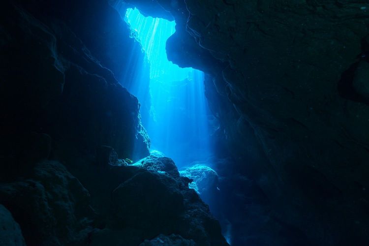 Immagine di copertina