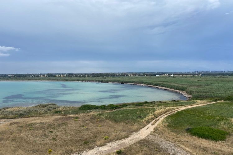 Immagine per articolo Il progetto Blue Forest approda in Puglia!